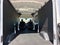 2026 Ford Transit 250